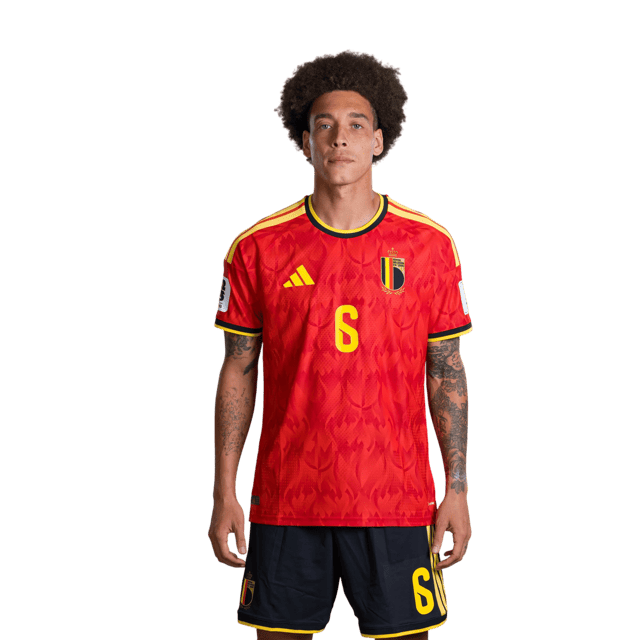Axel WITSEL