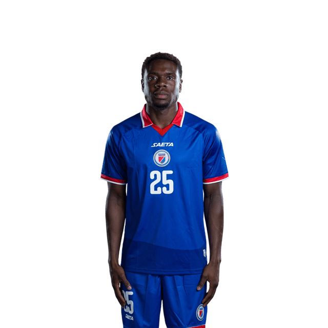Dominique SIMON