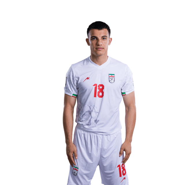 Amirhossein Hosseinzadeh
