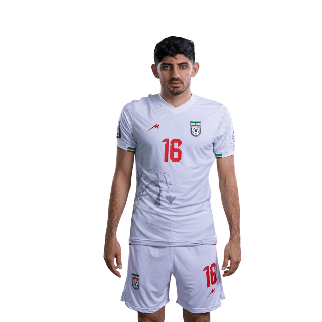Mehdi TORABI