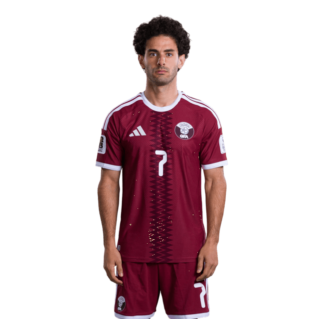 AHMED ALAAELDIN